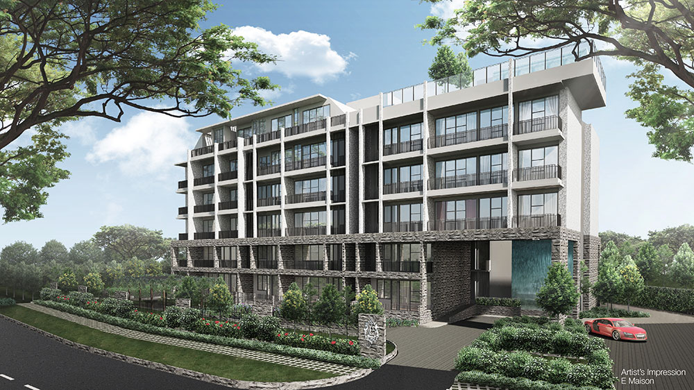 PropNex Local Projects - E Maison (Dynamic Force Group)son